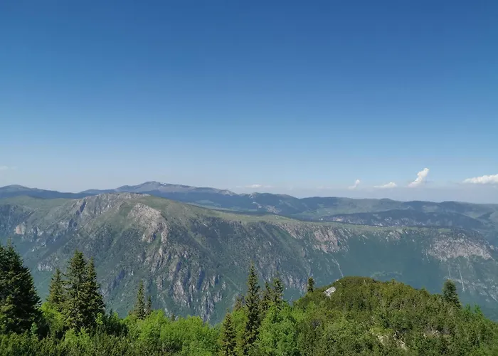 Ivona Kemping Bastasi