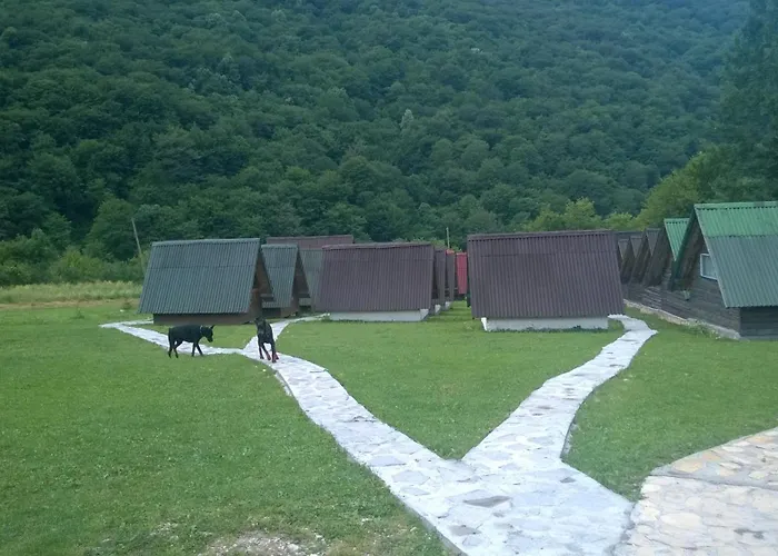 Ivona Kemping Bastasi